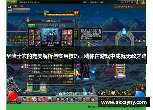 圣骑士宏的完美解析与实用技巧，助你在游戏中成就无敌之路