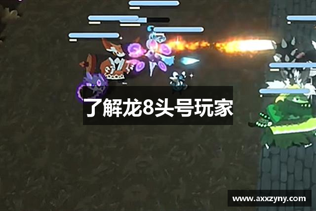 了解龙8头号玩家